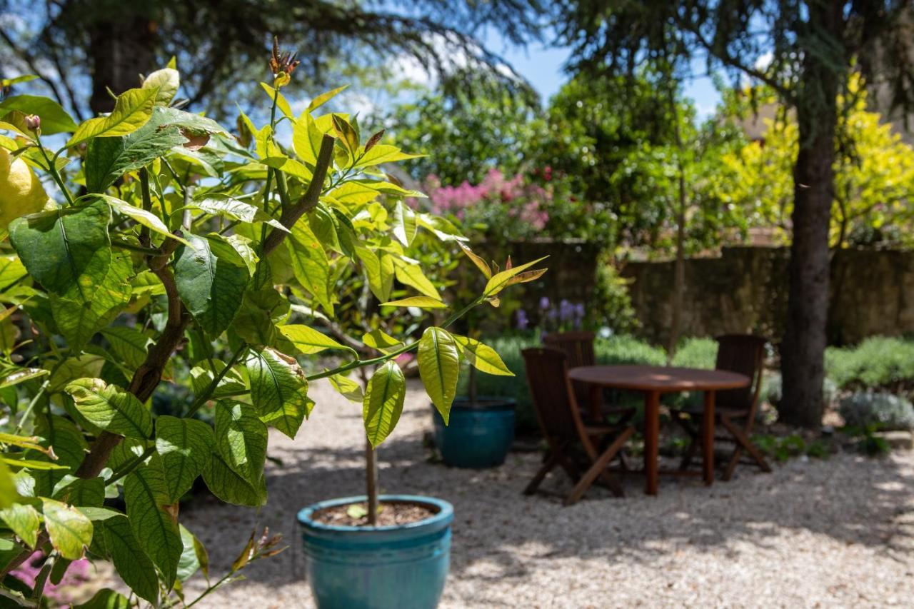 Bed and Breakfast Le Jardin De Mazan Esterno foto